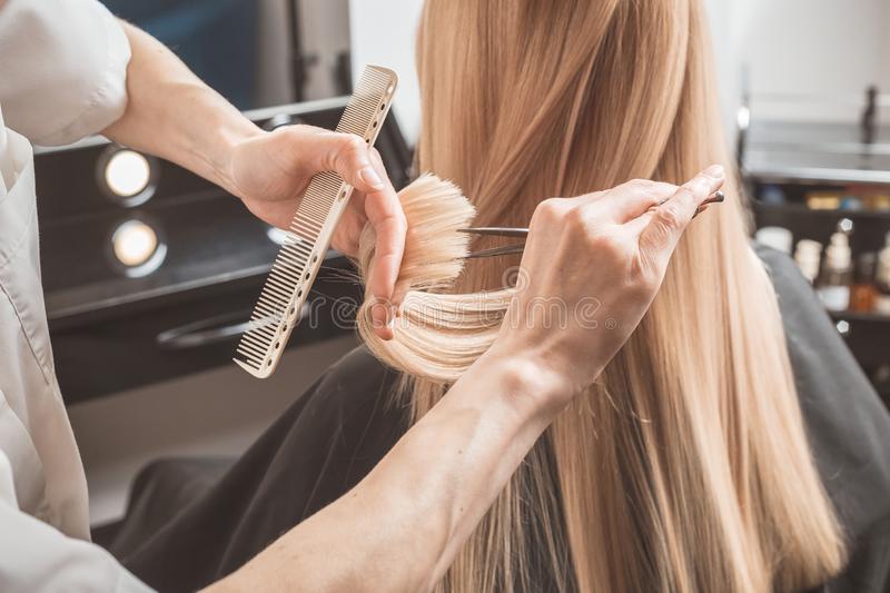 haircut SERVICES in Bilaspur
